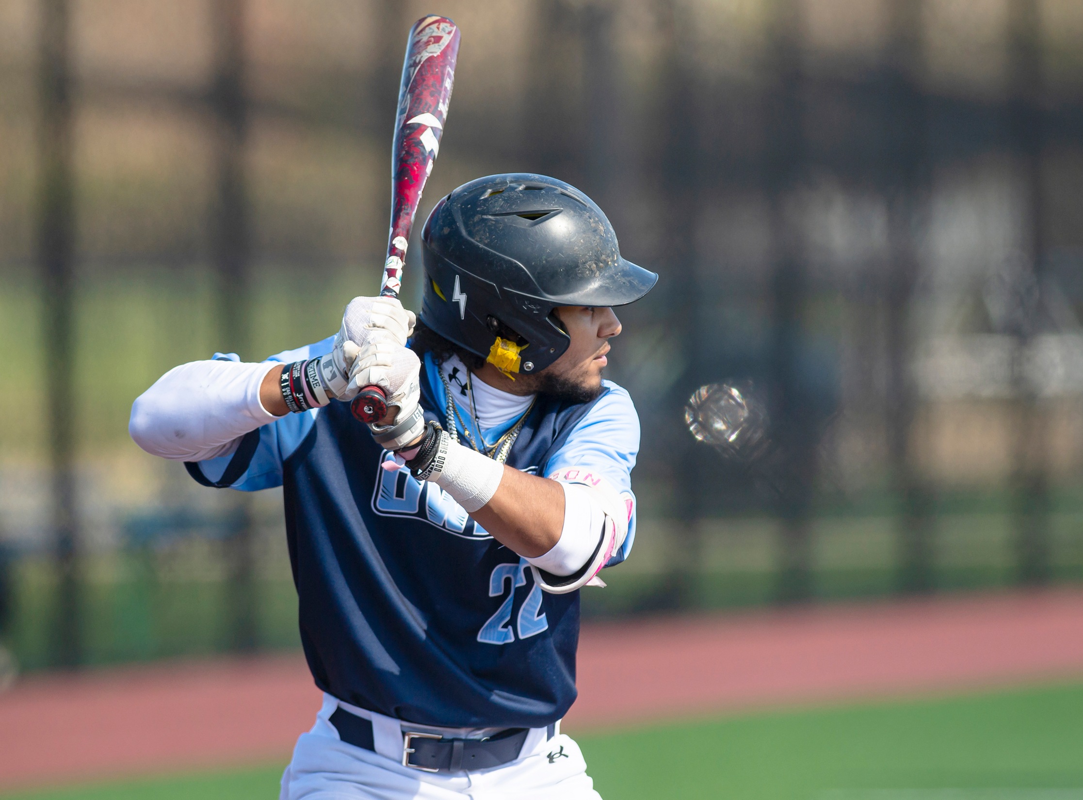 Owls Sweep Cecil at Home