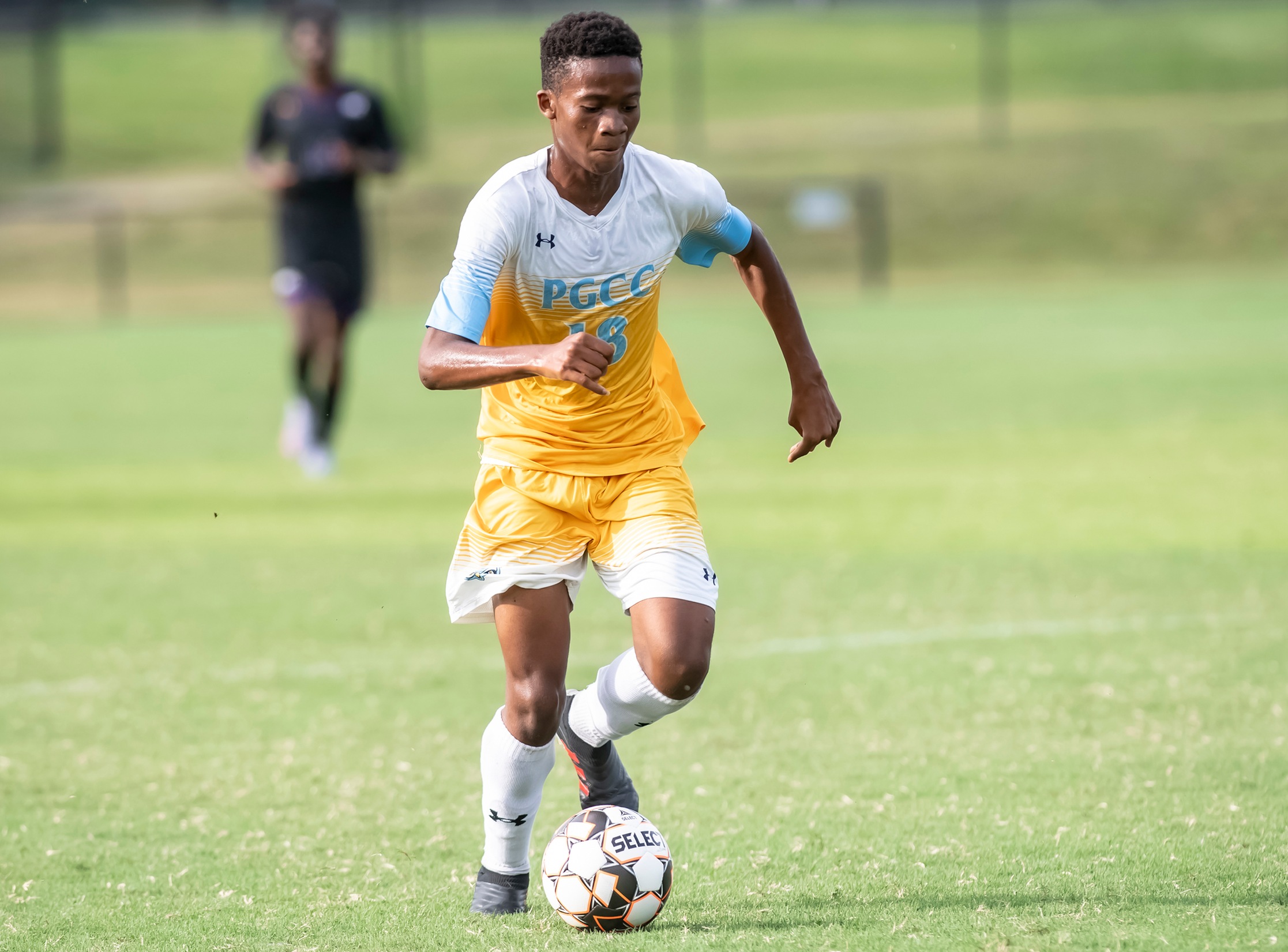 Owls Hot Start Ends With Victory Over Cecil