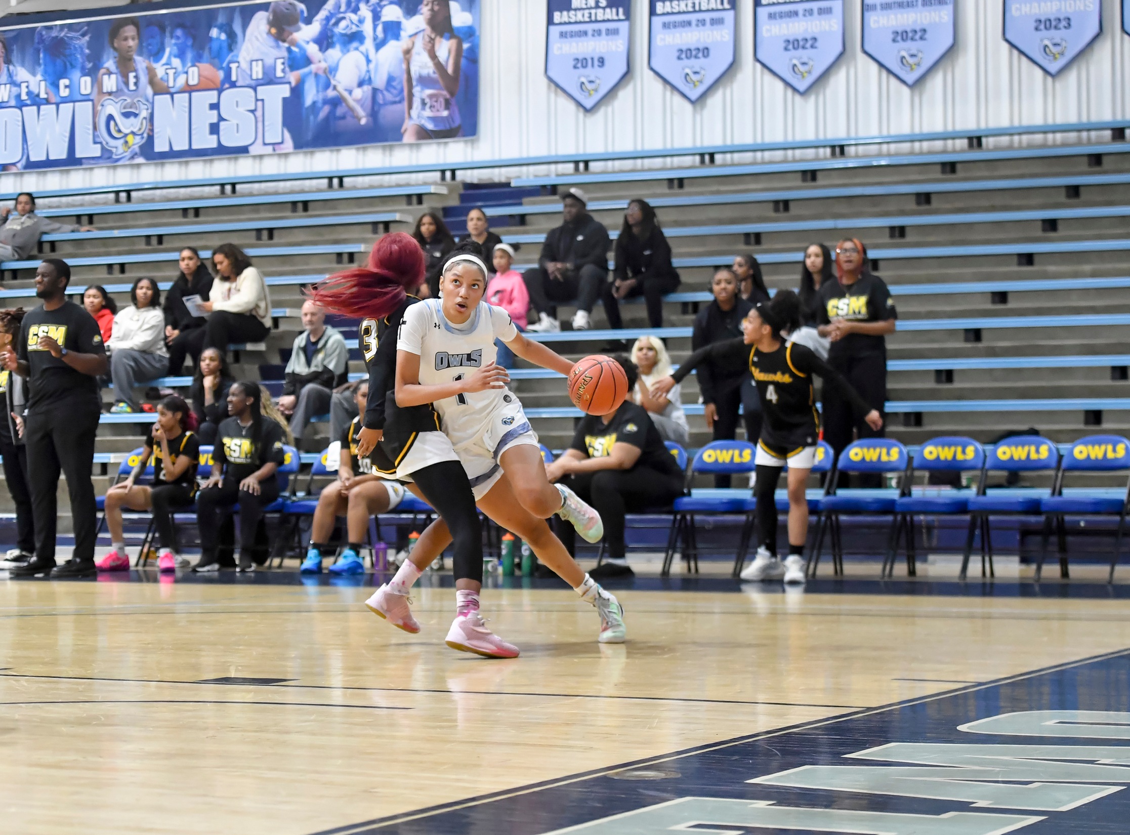 Women&rsquo;s Basketball Battles Back but Falls 53-46 at Essex County