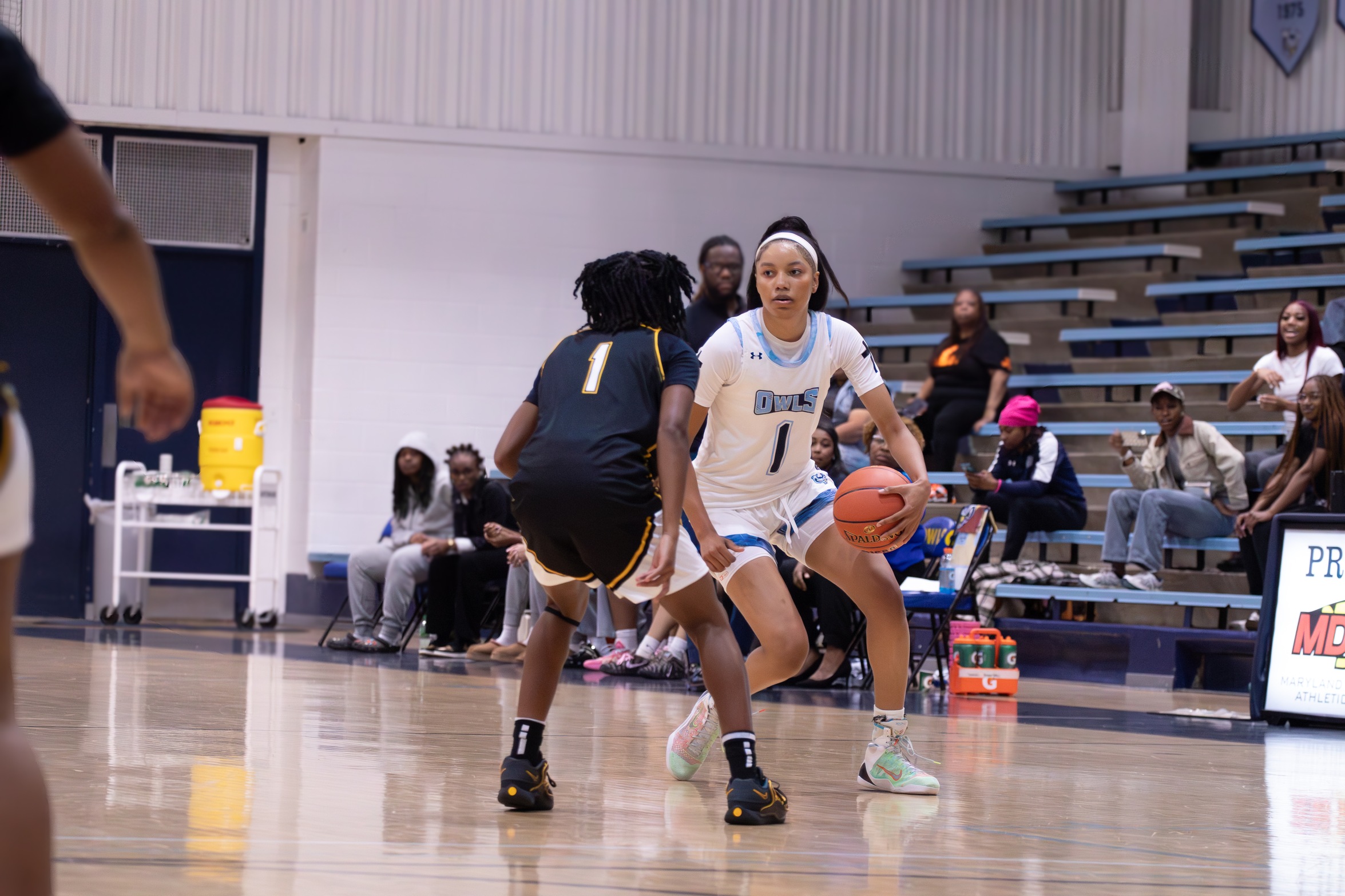 Lady Owls Split Western PA Road Trip